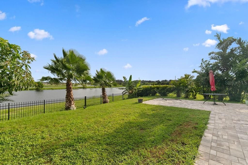 Backyard, Exterior, Water