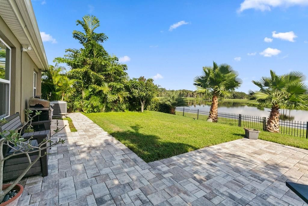 Backyard, Exterior, Water