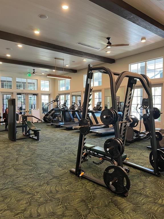 Fitness Equipment, Gym, Interior, Recessed Lighting