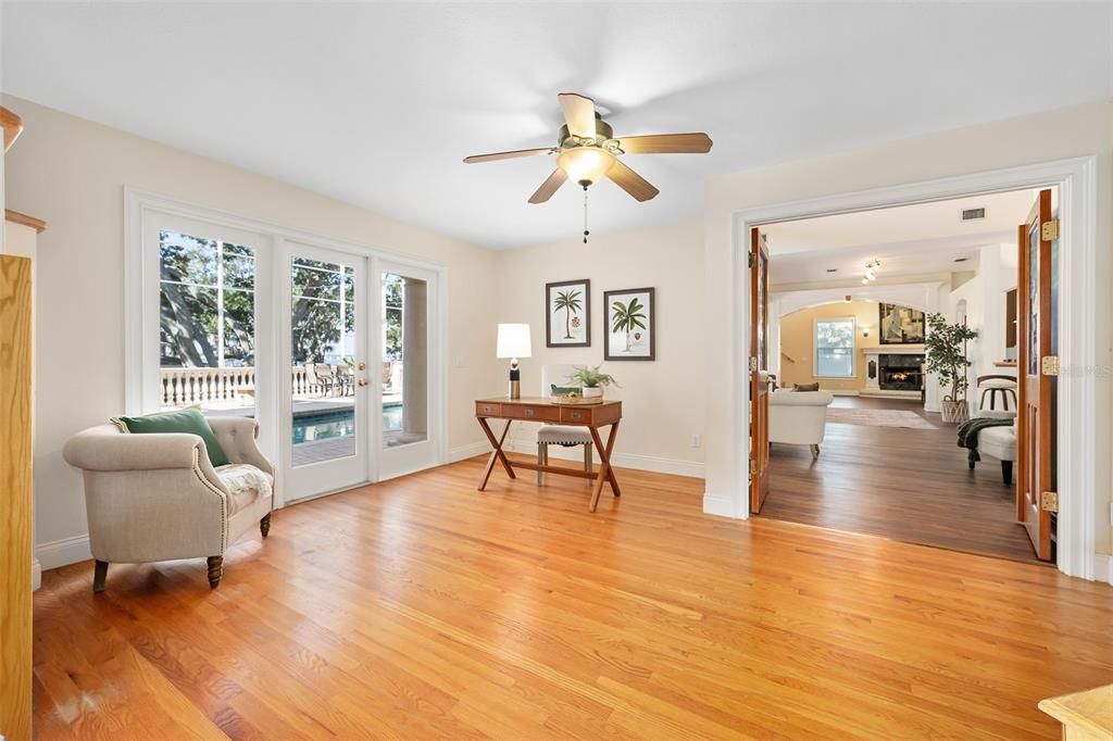 Fireplace, Home Office, Interior, Wood Texture Flooring