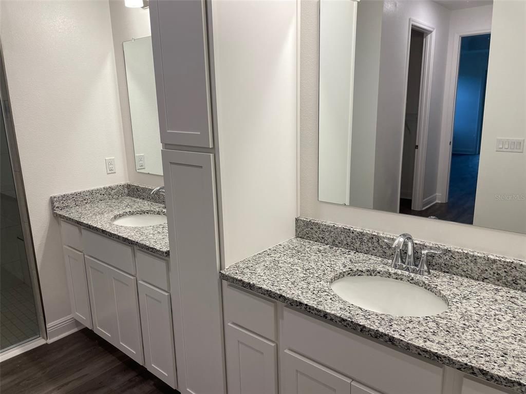 Bathroom, Dual Sink Vanities, Interior, Wood Texture Flooring