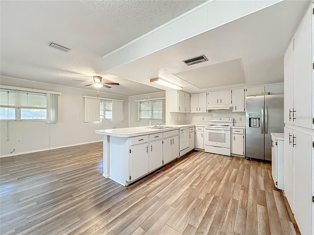 Interior, Kitchen, Stainless Steel Appliances, Wood Texture Flooring