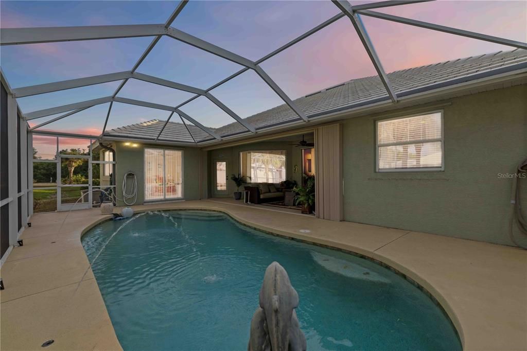 Glass Ceilings, Interior, Pool, Sun Room