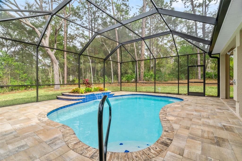 Glass Ceilings, Interior, Pool, Sun Room