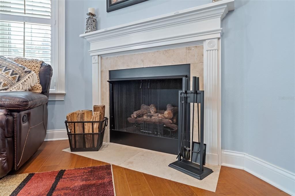 Fireplace, Interior, Wood Texture Flooring
