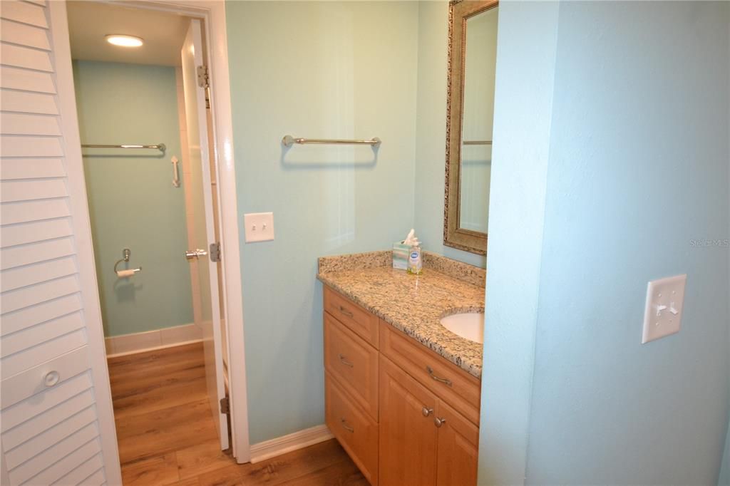 Bathroom, Interior, Recessed Lighting, Wood Texture Flooring