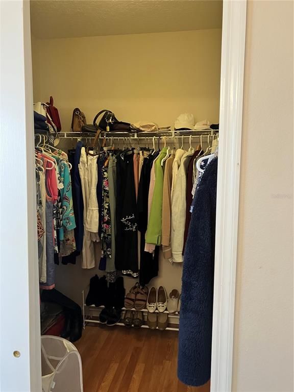 Interior, Walk-in Closets, Wood Texture Flooring