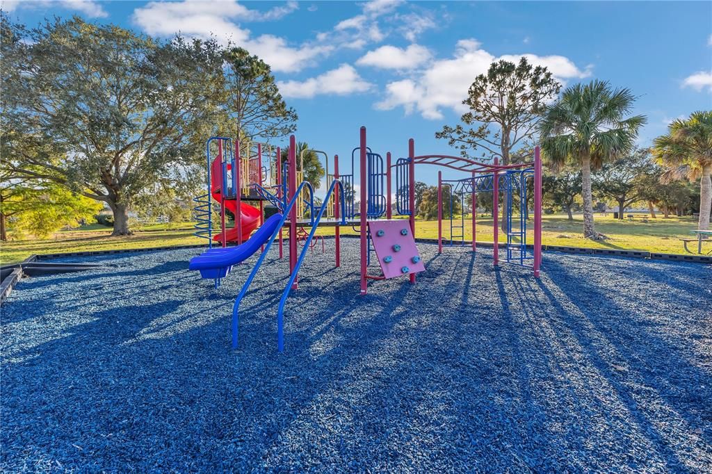 Backyard, Exterior, Playground