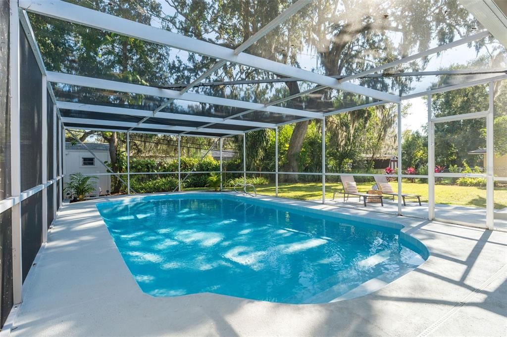Glass Ceilings, Interior, Pool, Sun Room