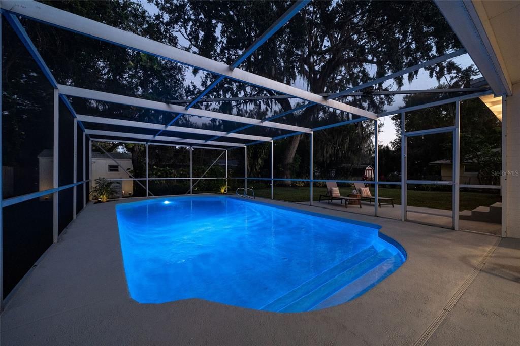 Glass Ceilings, Interior, Pool, Sun Room