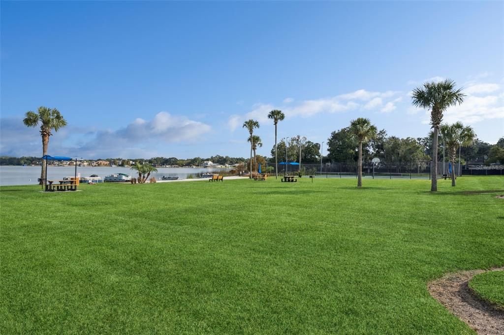 Backyard, Exterior, Playground