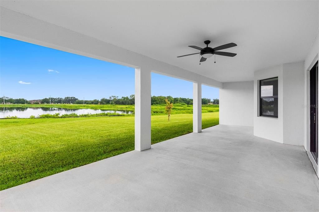 Backyard, Exterior, Interior, Water