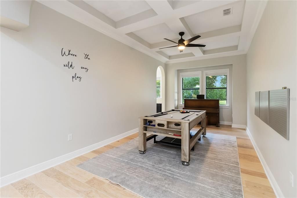 Game Room, Interior, Wood Texture Flooring