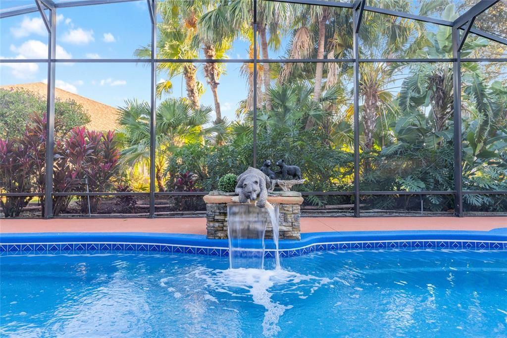 Glass Ceilings, Interior, Pool, Sun Room