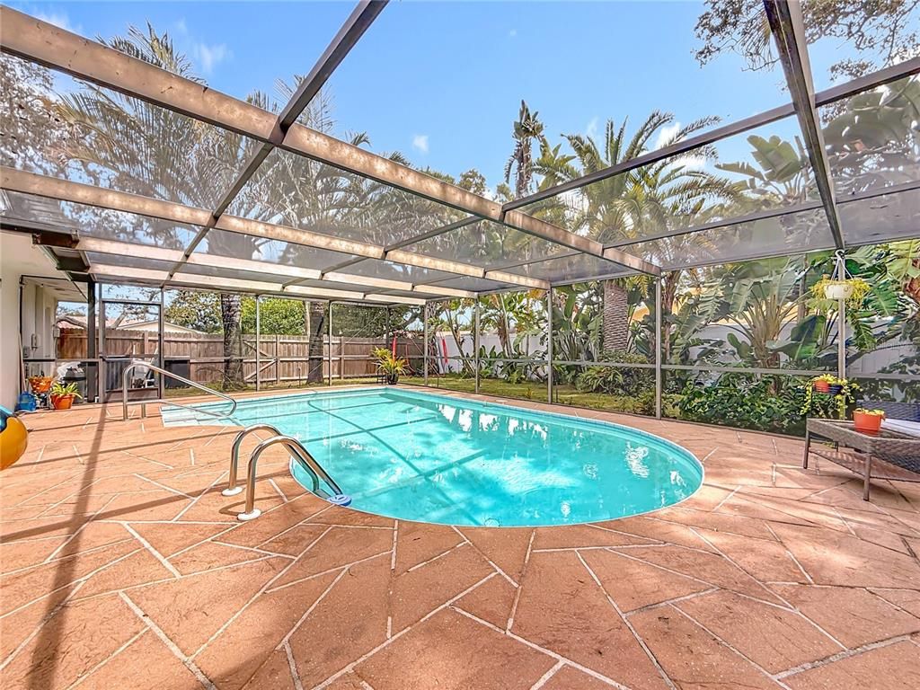 Glass Ceilings, Interior, Pool, Sun Room