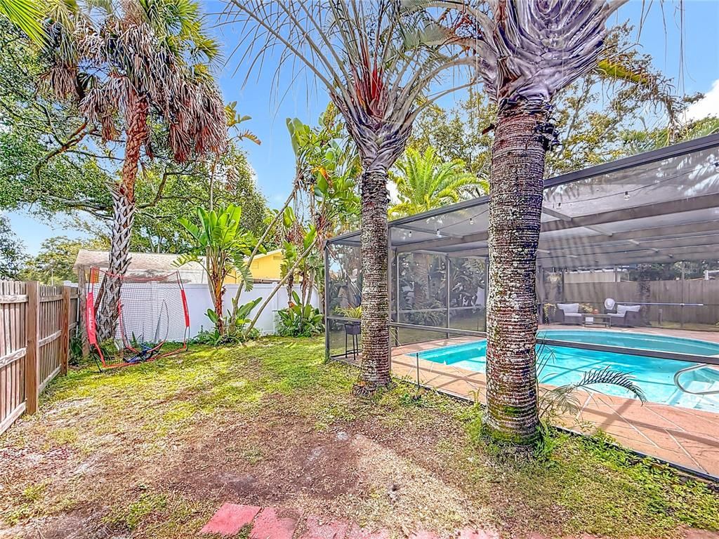 Backyard, Exterior, Pool