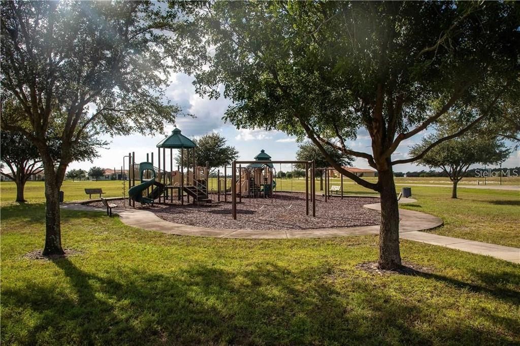 Backyard, Exterior, Playground