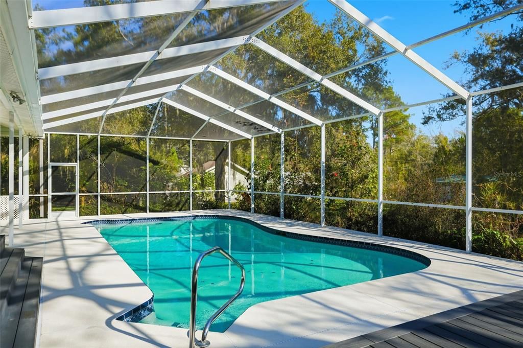 Glass Ceilings, Interior, Pool, Sun Room