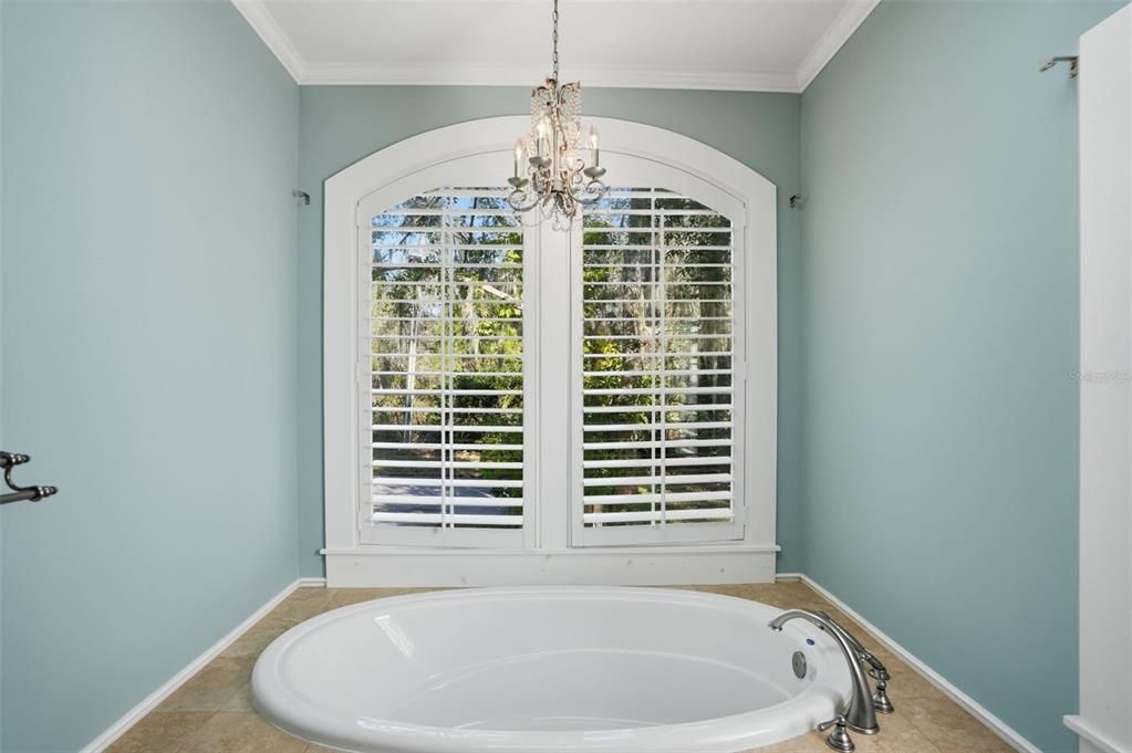 Bathroom, Chandelier, Interior