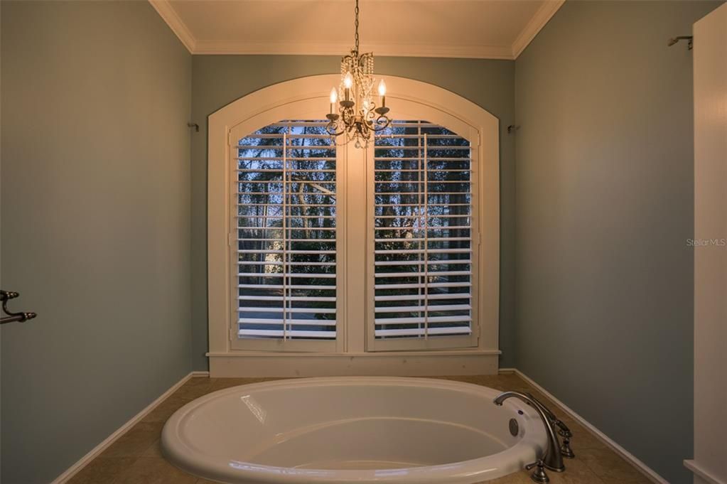 Bathroom, Chandelier, Interior