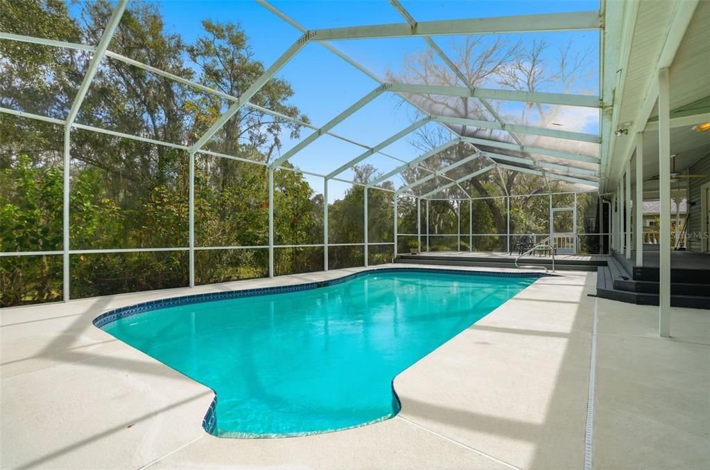 Glass Ceilings, Interior, Pool, Sun Room