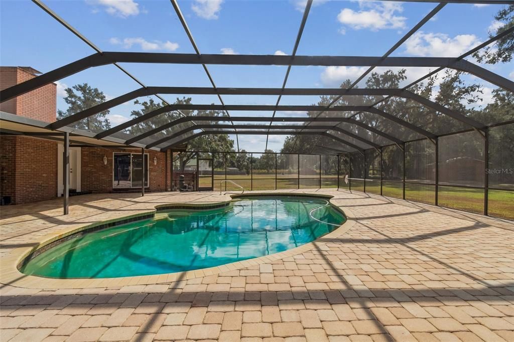 Glass Ceilings, Interior, Pool, Sun Room