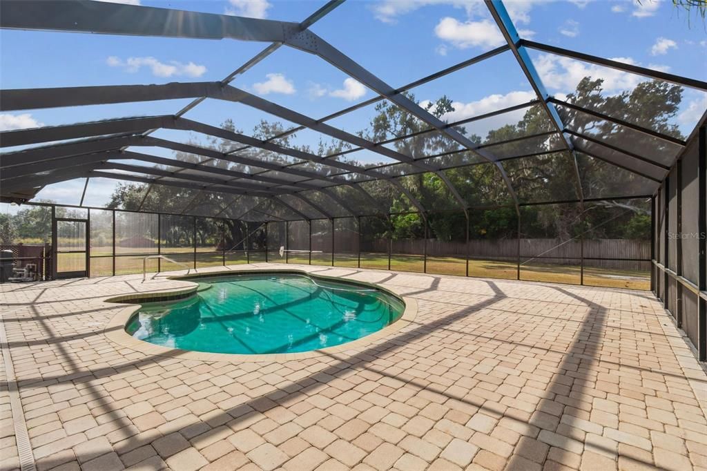 Glass Ceilings, Interior, Pool, Sun Room