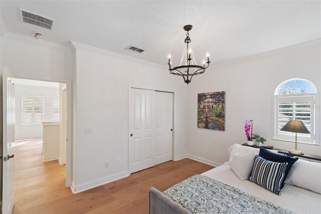Chandelier, Interior, Wood Texture Flooring
