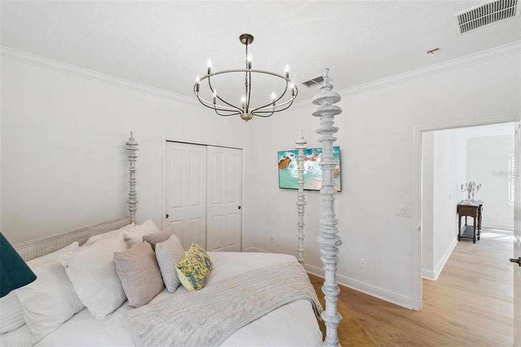 Chandelier, Interior, Wood Texture Flooring