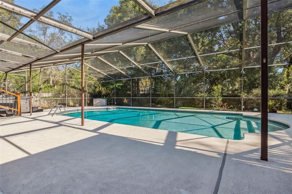 Glass Ceilings, Interior, Pool, Sun Room