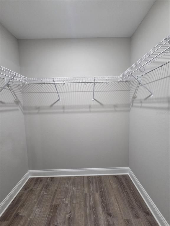 Interior, Walk-in Closets, Wood Texture Flooring