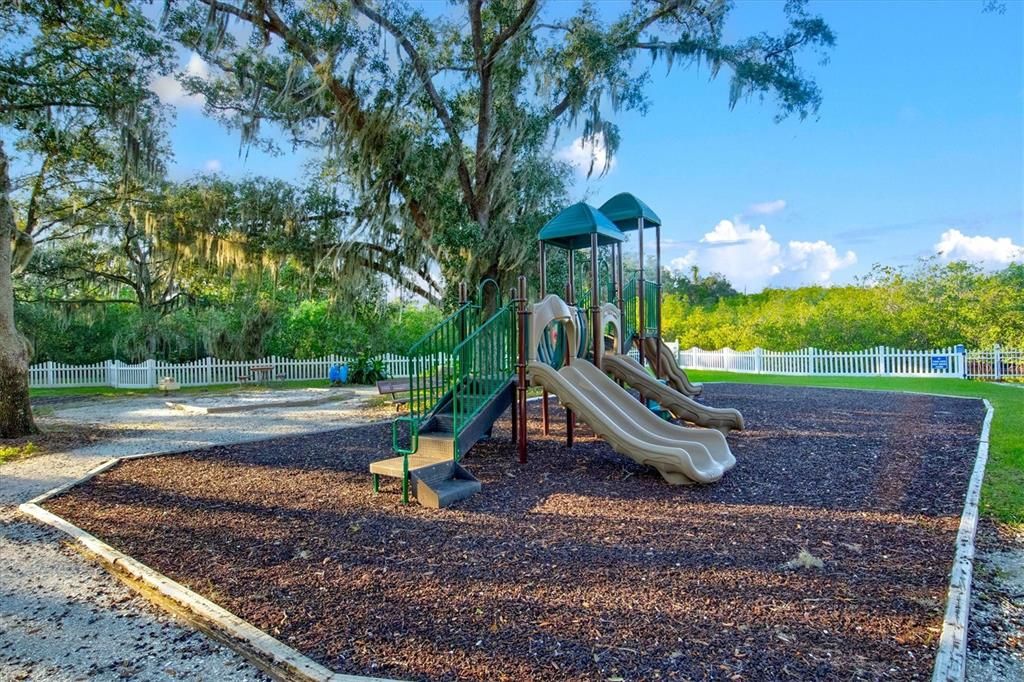 Backyard, Exterior, Playground