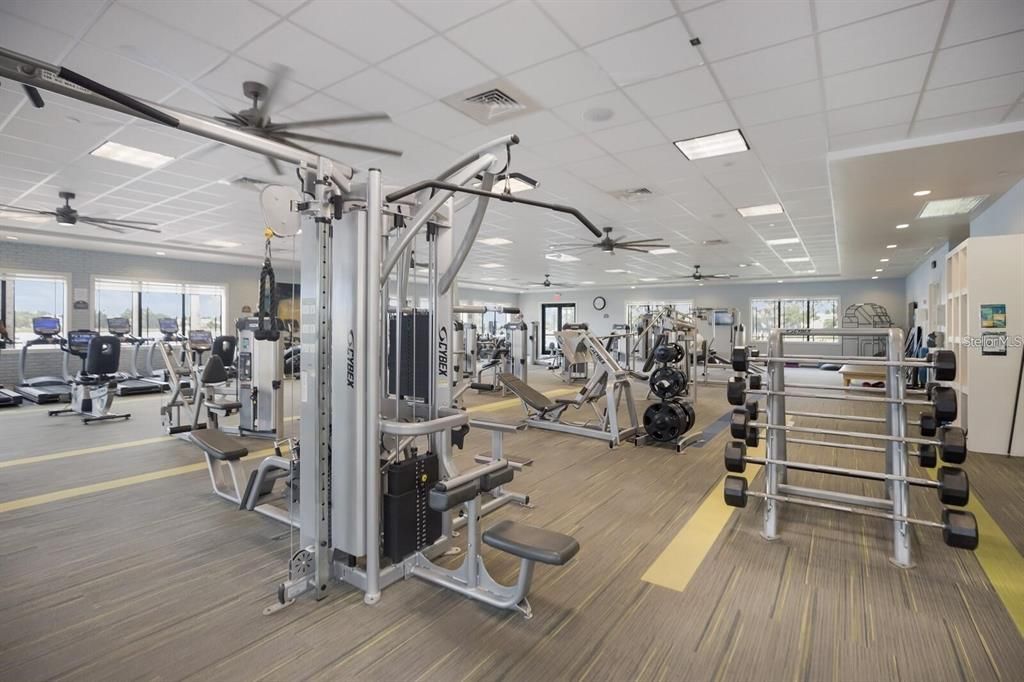 Fitness Equipment, Gym, Interior, Recessed Lighting