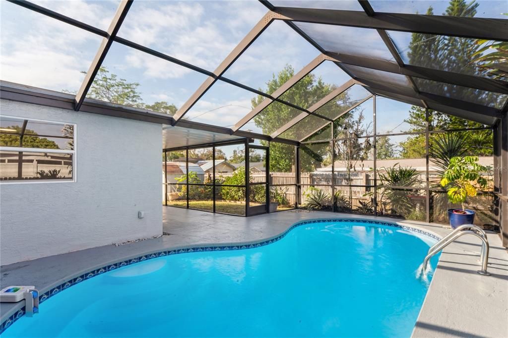 Glass Ceilings, Interior, Pool, Sun Room
