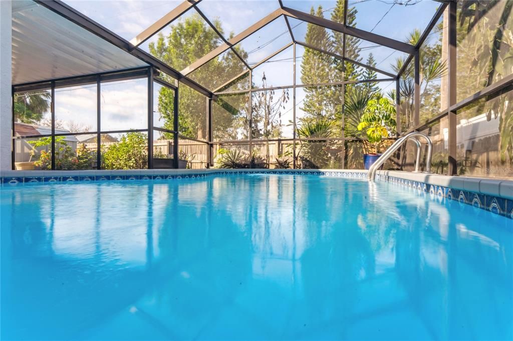 Glass Ceilings, Interior, Pool, Sun Room