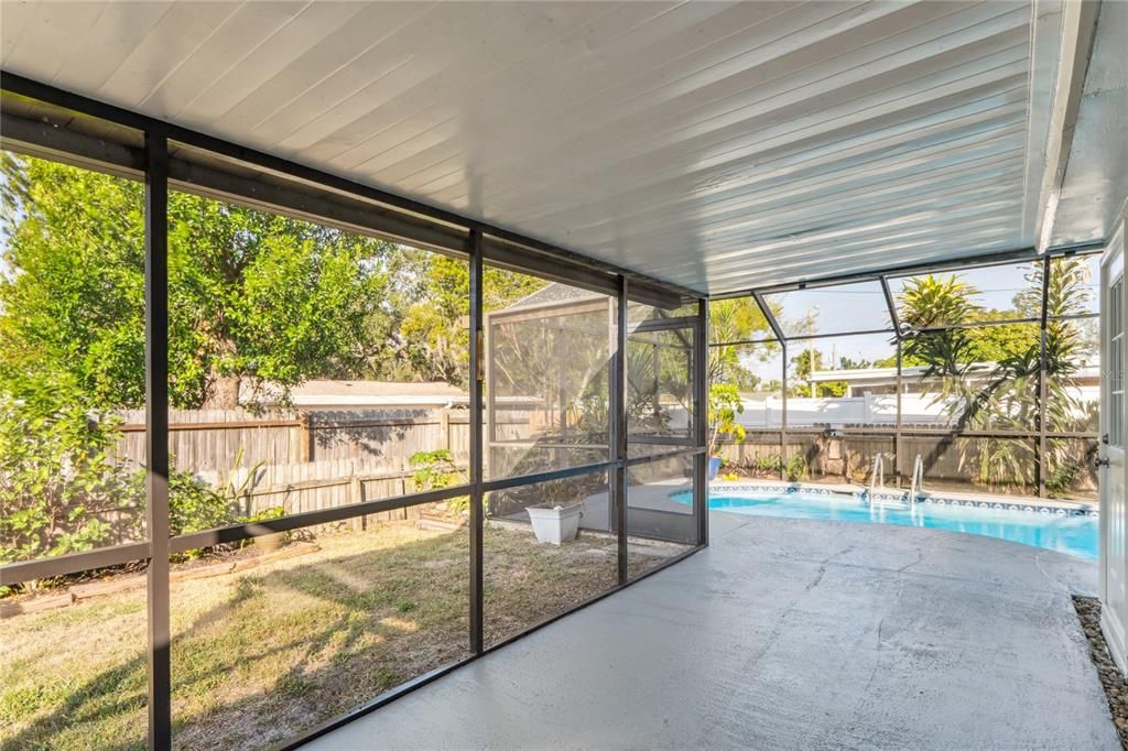 Glass Ceilings, Interior, Pool, Sun Room