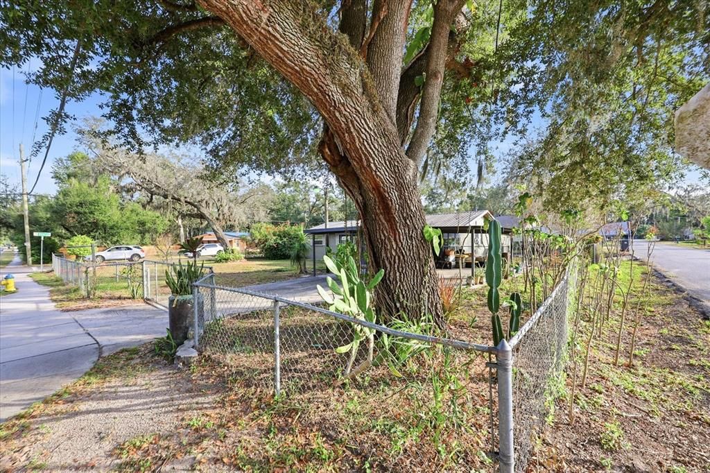 Exterior, Tennis Courts