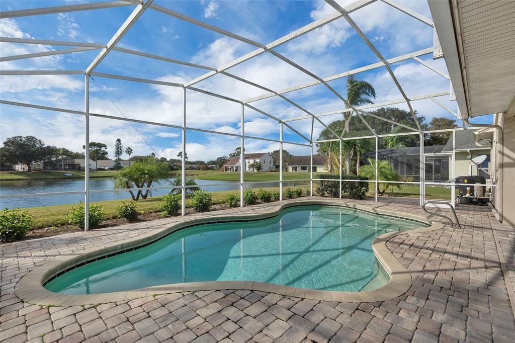 Glass Ceilings, Interior, Pool, Sun Room, Water