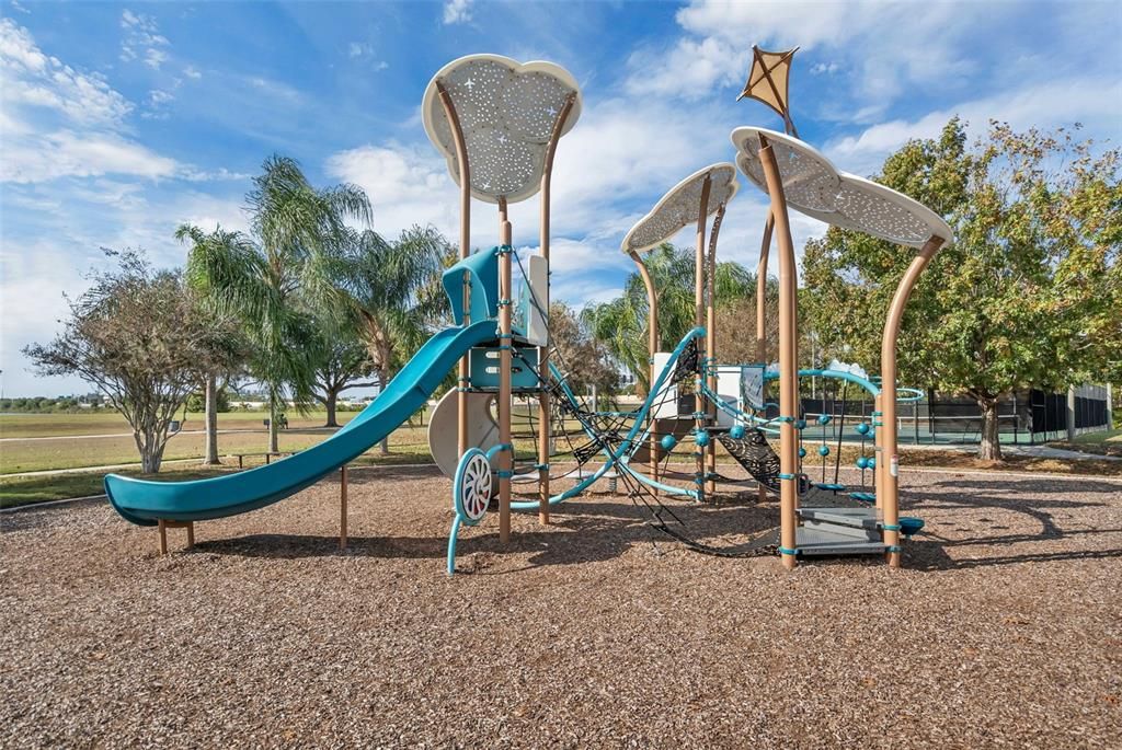 Backyard, Exterior, Playground
