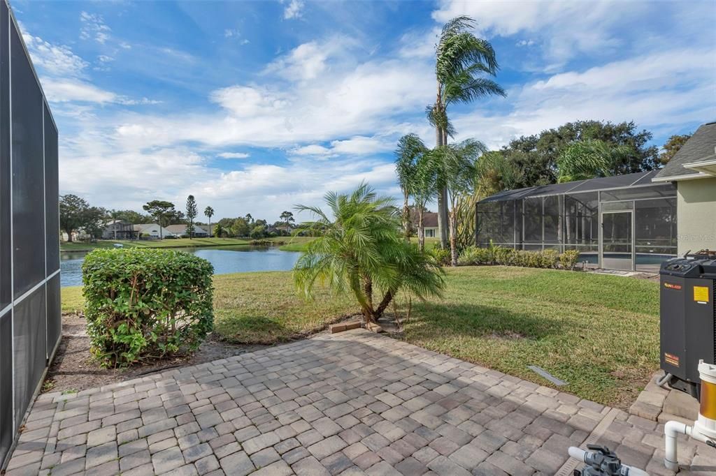 Backyard, Exterior, Water