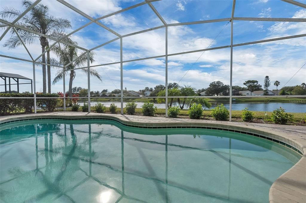Glass Ceilings, Interior, Pool, Sun Room, Water