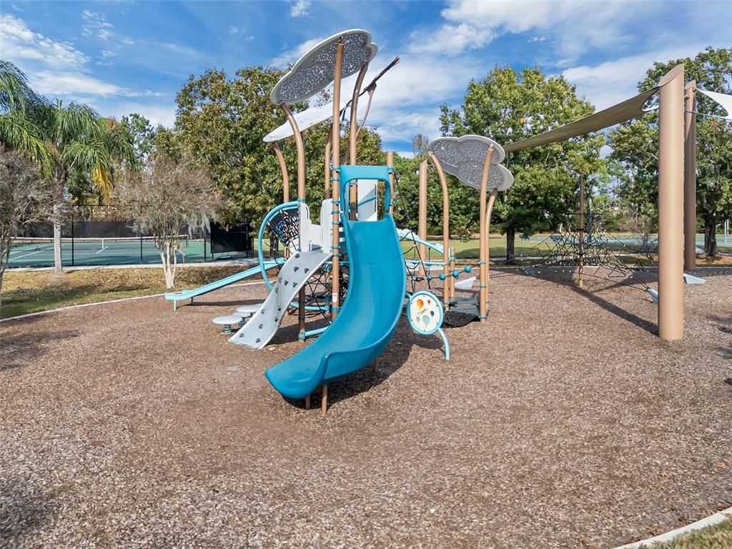 Backyard, Exterior, Playground