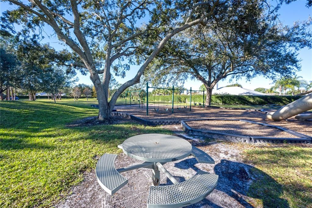 Backyard, Exterior, Playground