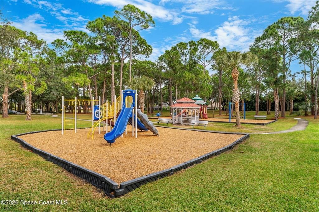 Backyard, Exterior, Playground