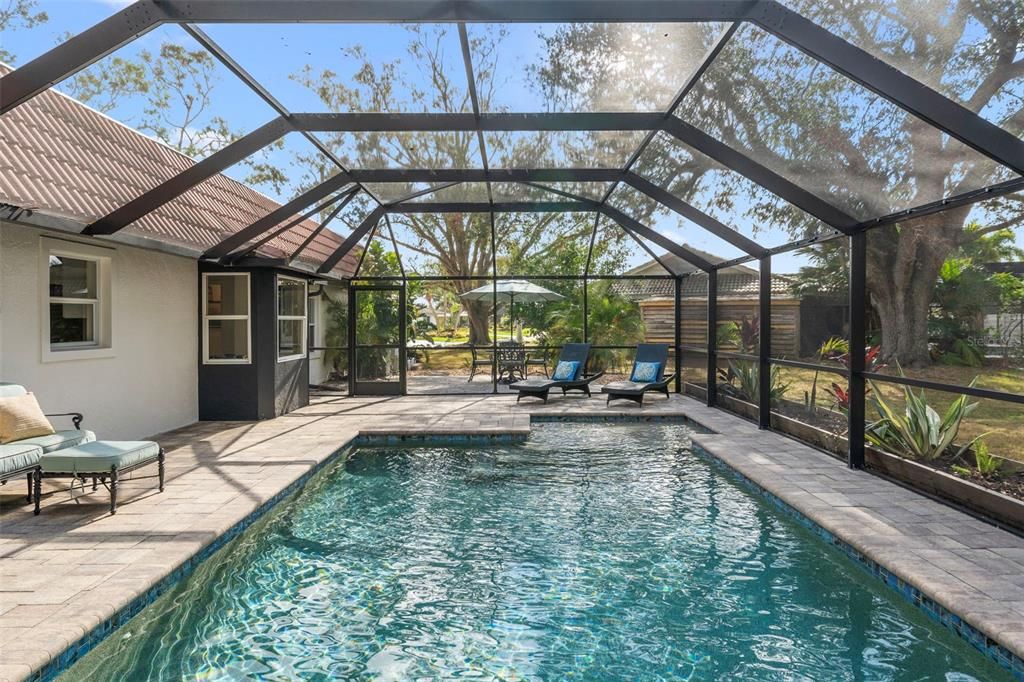 Glass Ceilings, Interior, Pool, Sun Room