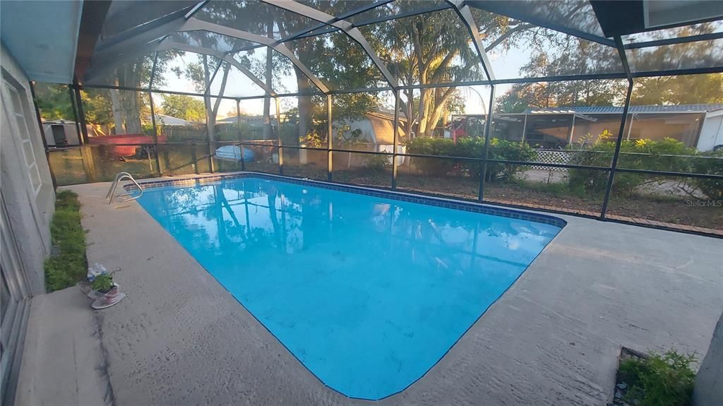 Glass Ceilings, Interior, Pool, Sun Room