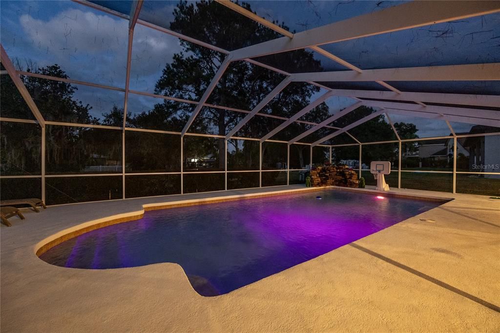 Glass Ceilings, Interior, Pool, Sun Room