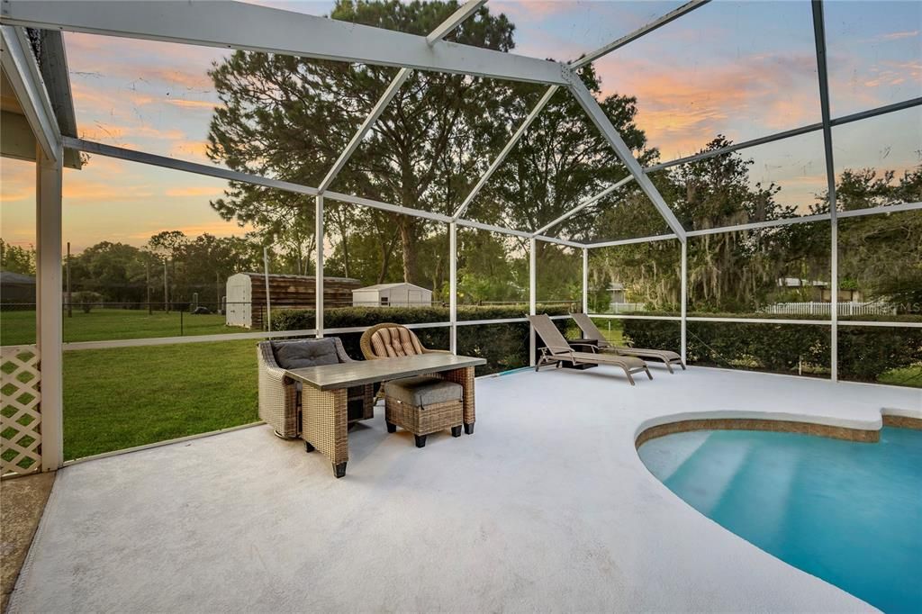 Glass Ceilings, Interior, Pool, Sun Room