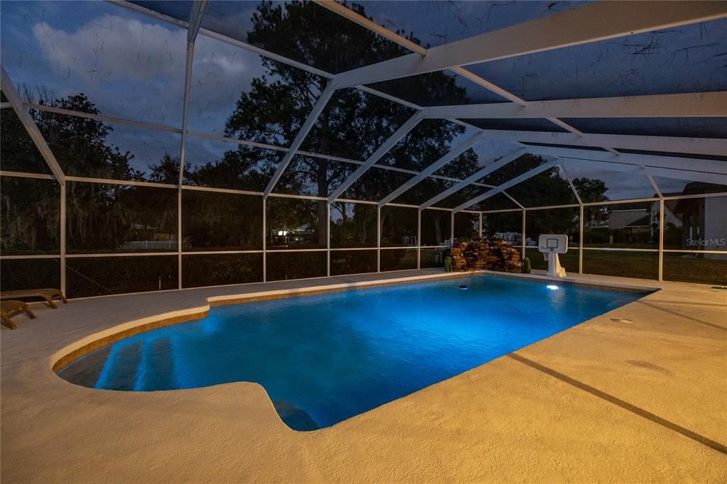 Glass Ceilings, Interior, Pool, Sun Room