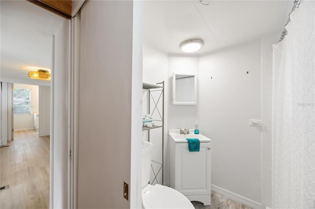 Bathroom, Interior, Wood Texture Flooring